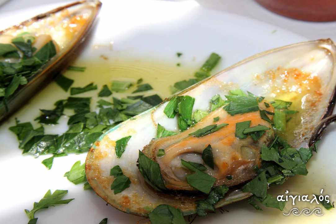 Interview with the owner of Aeyialos Fish Restaurant in Protaras