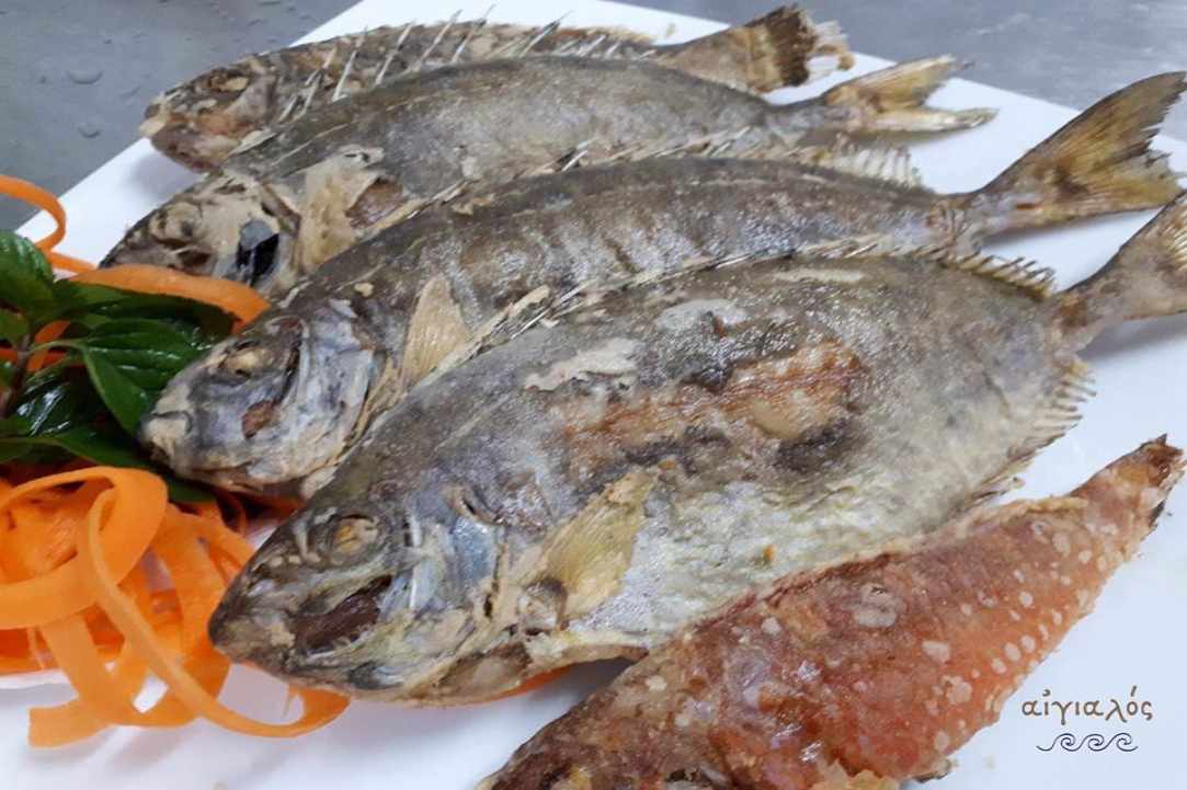 Interview with the owner of Aeyialos Fish Restaurant in Protaras gallery image 4