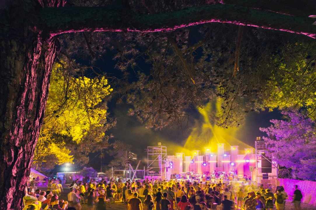 The AfroBanana Festival Returns -  2018!