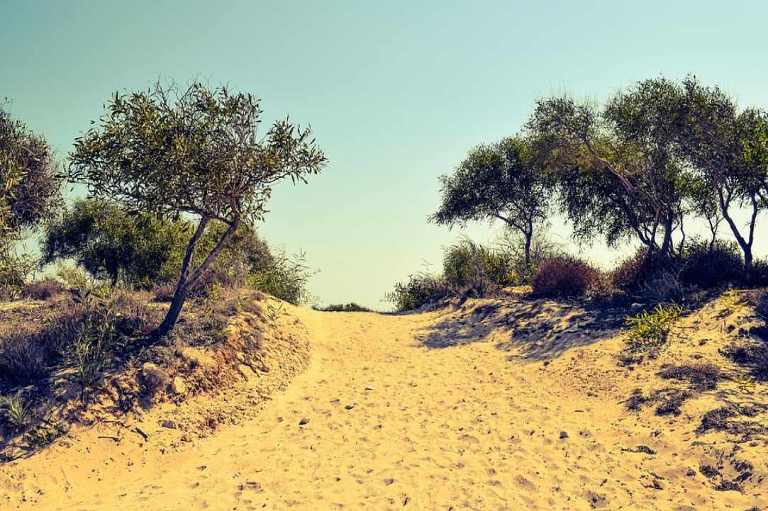 Η ιστορική εξέλιξη της Αγίας Νάπας