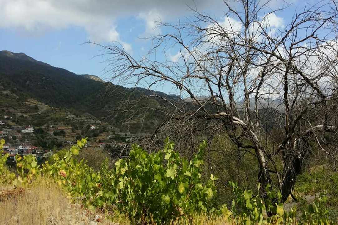 Το Χωριό Άγιος Κωνσταντίνος Λεμεσού