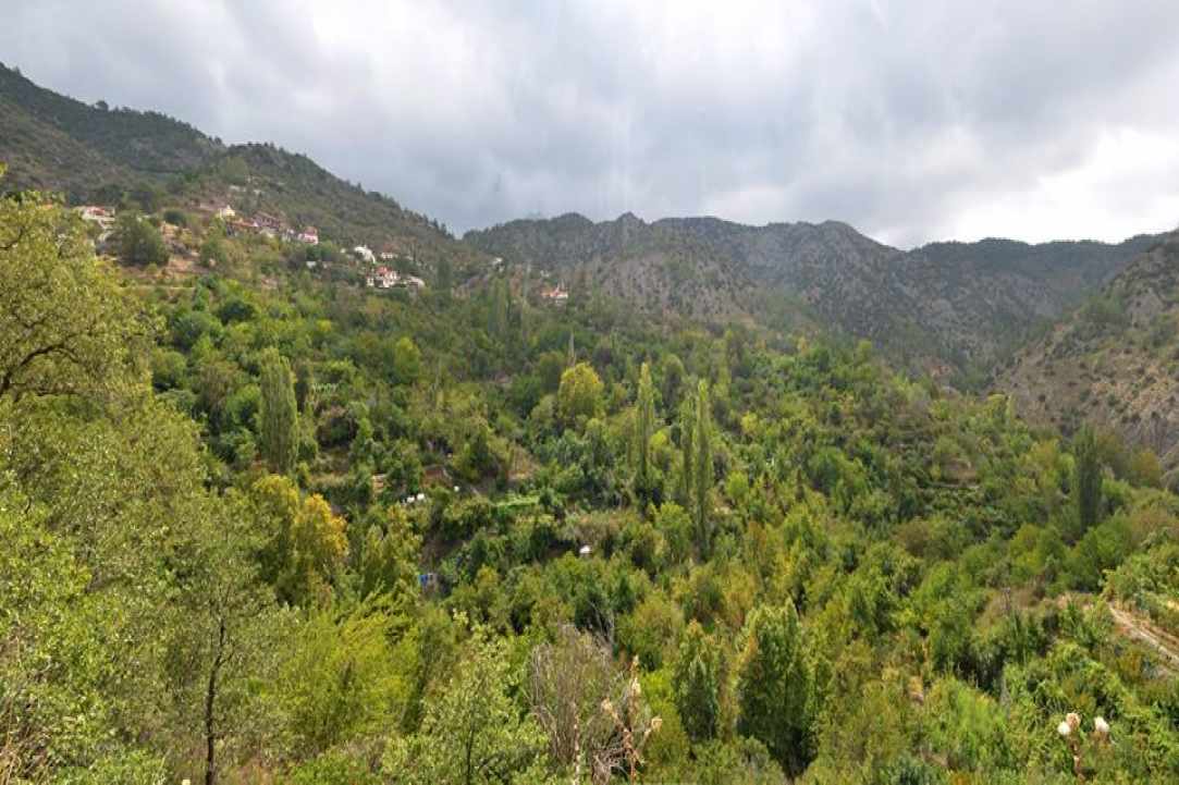  Άγιος Θεόδωρος Πιτσιλιάς ή Άγιος Θεόδωρος Αγρού 