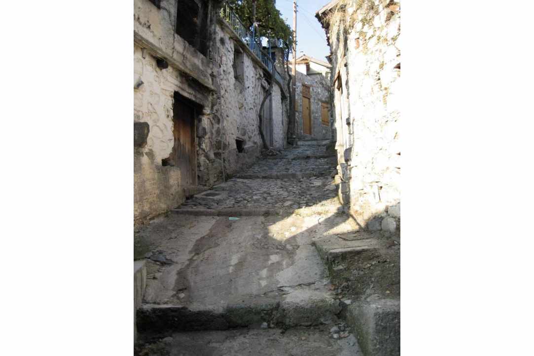 Γιορτή Τριαντάφυλλου – για 12η χρονιά στον Αγρό!