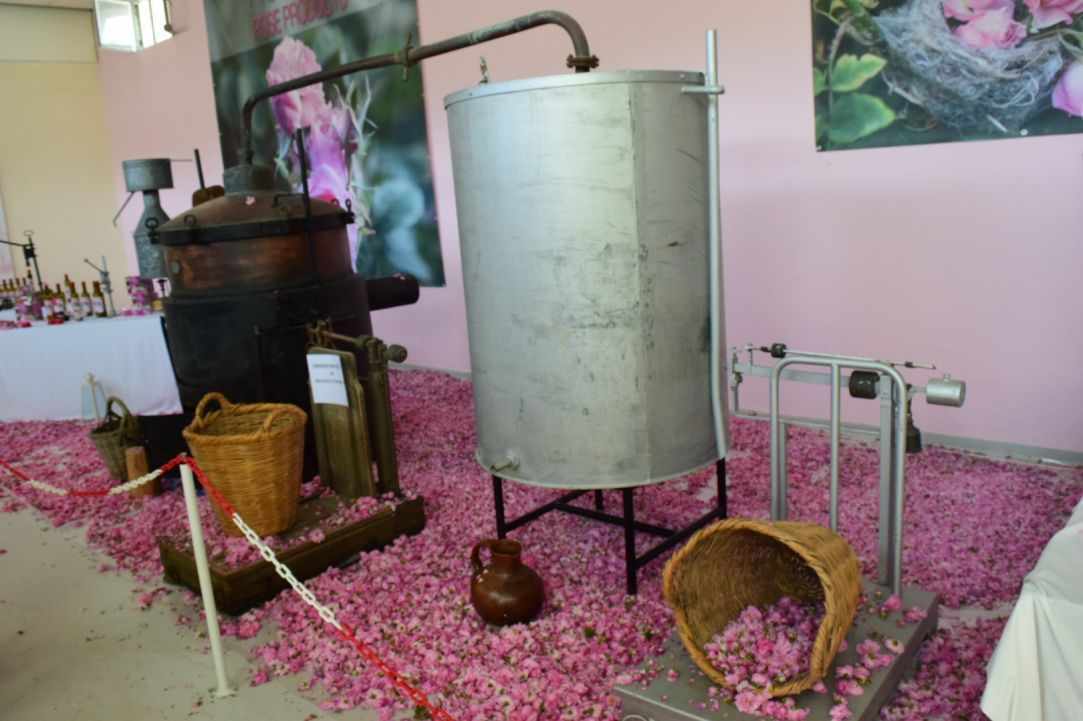 11 Τhe rose festival - Μay 2017