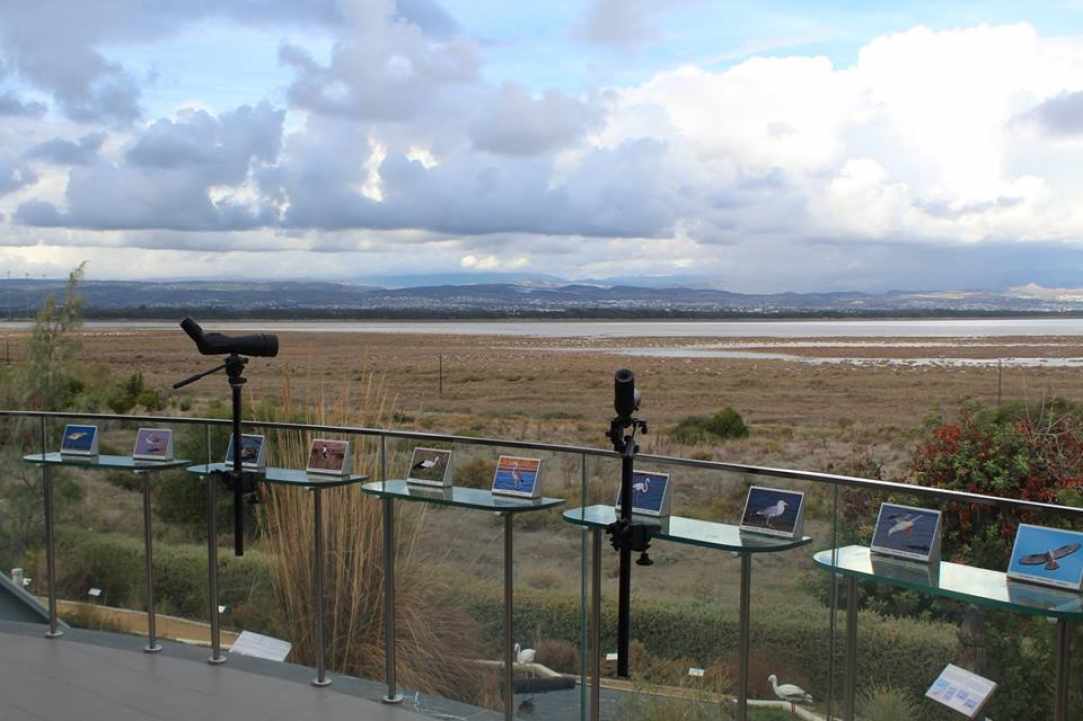 Akrotiri Marsh, a unique natural wetland within the Akrotiri Peninsula gallery image 4
