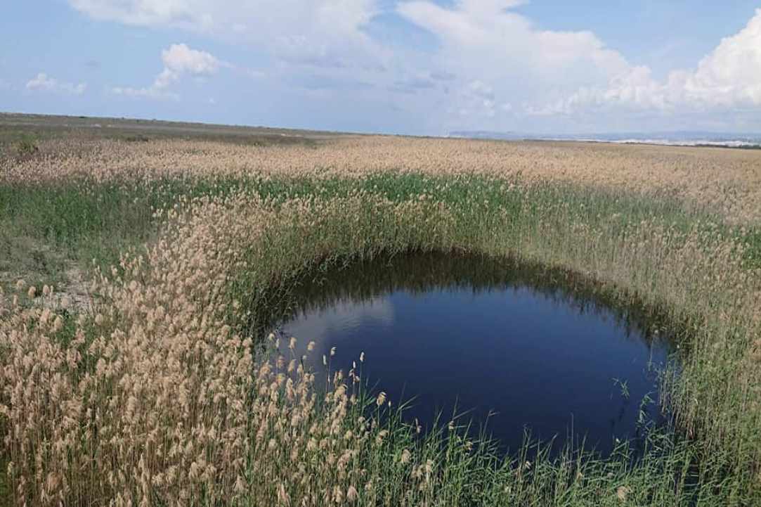 Akrotiri Marsh, a unique natural wetland within the Akrotiri Peninsula