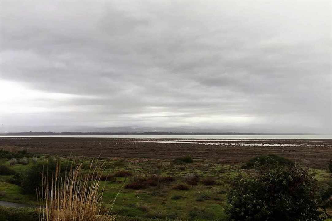 Akrotiri Marsh, a unique natural wetland within the Akrotiri Peninsula