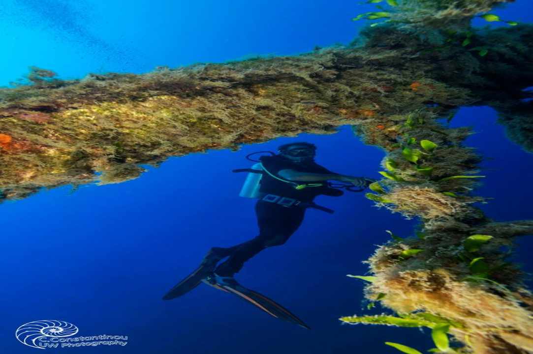 The Alexandria Wreck Cyprus