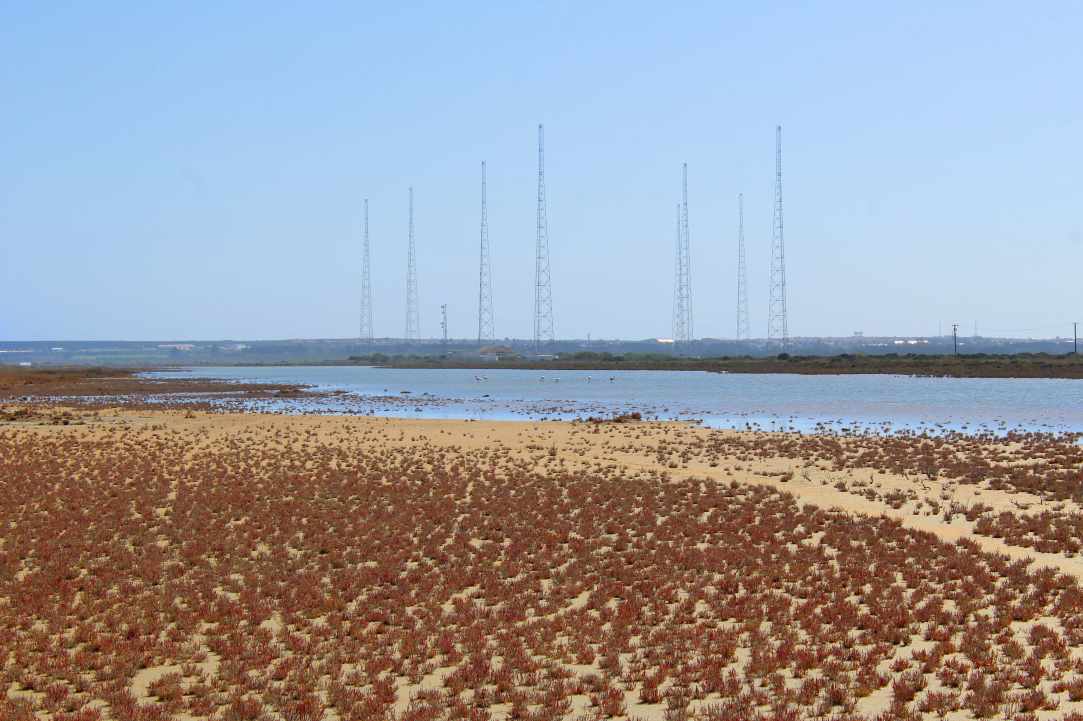 Saltlake of Akrotiri Limassol