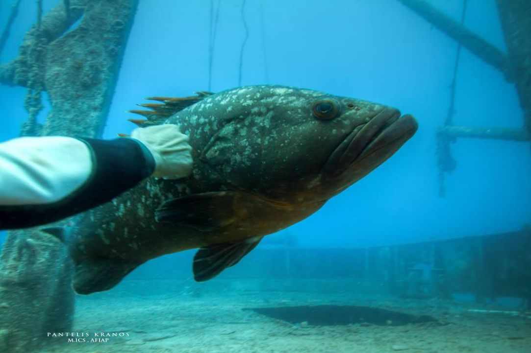 November dive in Cyprus