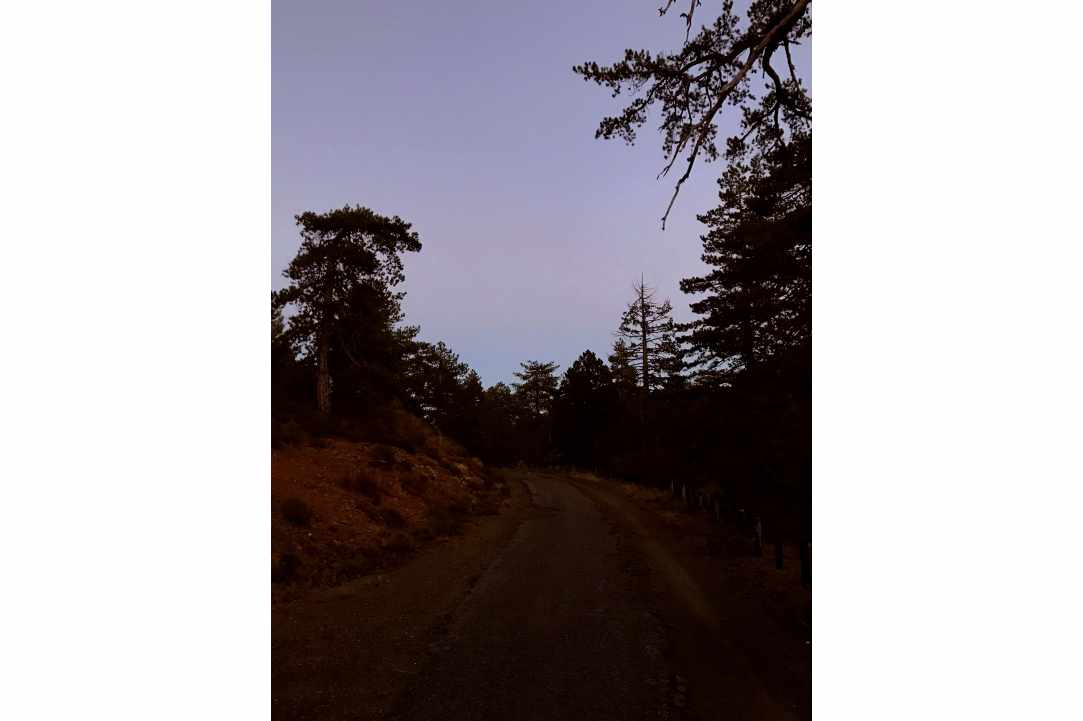 A walk in Almirolivado