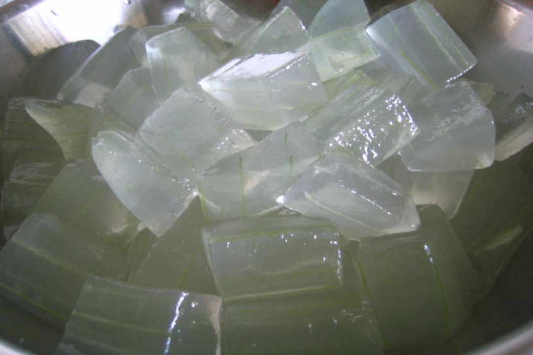 What scientists say about Aloe Vera?