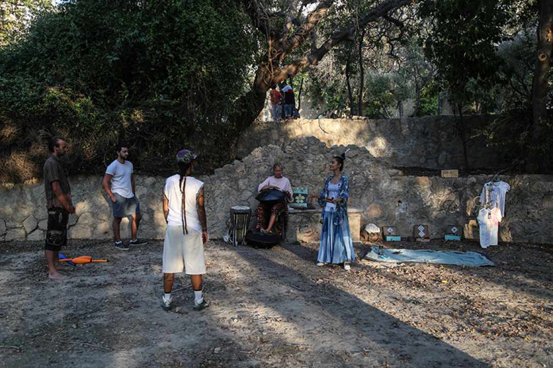 Φεστιβάλ Alsos