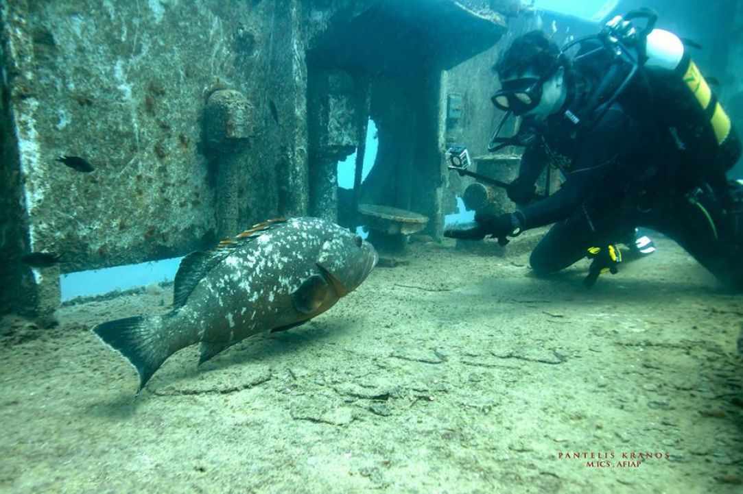 Constandis wreck dive
