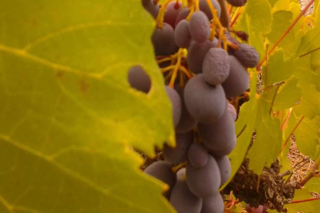Το γραφικό χωριό Κυπερούντα