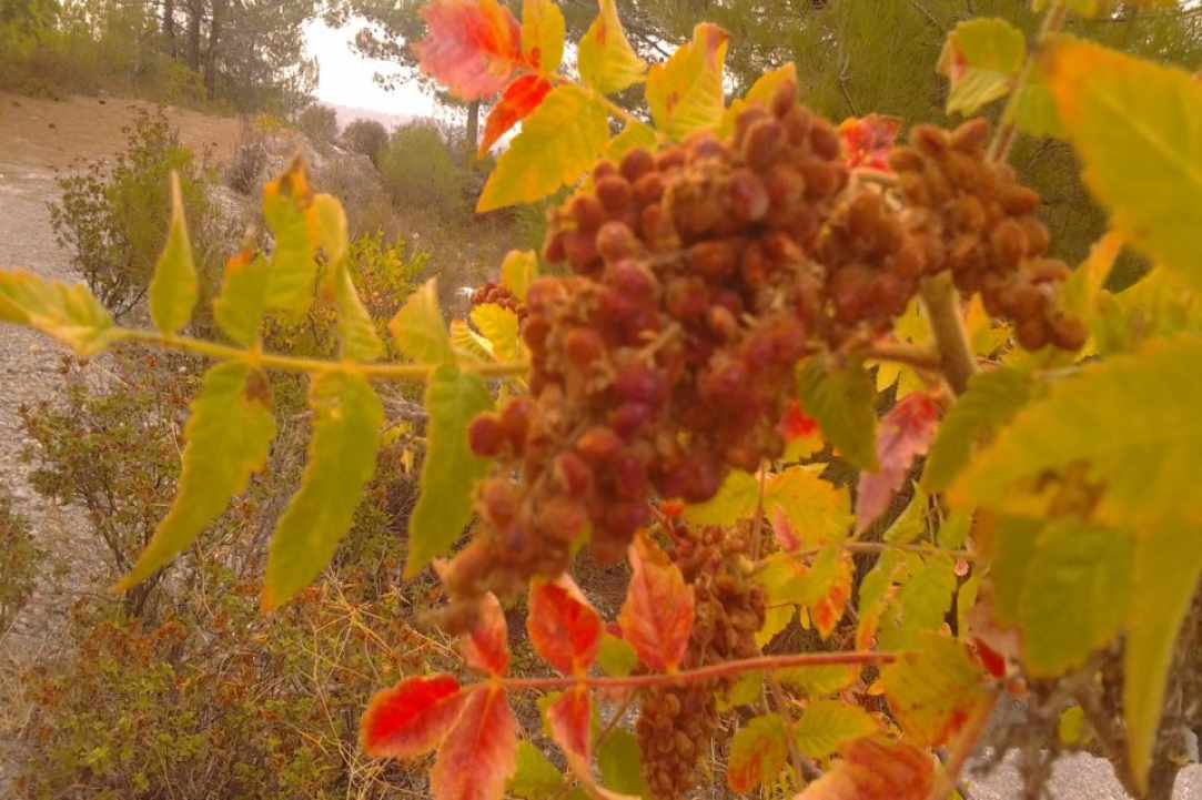 Το γραφικό χωριό Κυπερούντα