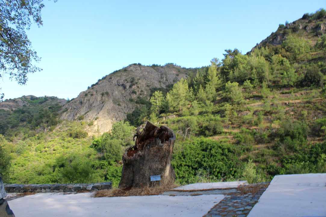 Polistipos Village 