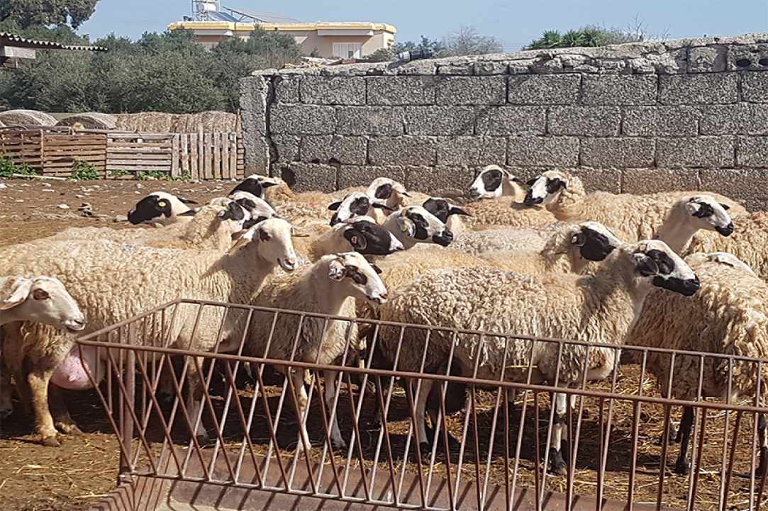 Ζητείται βοήθεια, ελπίδα, κατανόηση