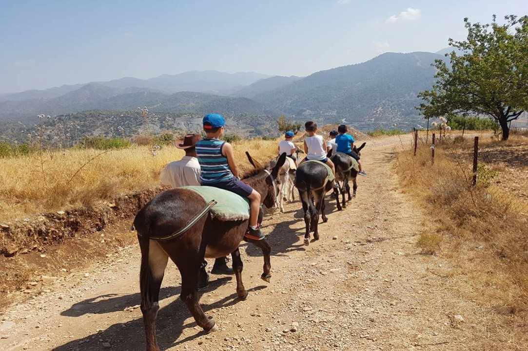 Ας γνωρίσουμε τις 8 φάρμες και ζωολογικούς κήπους της Κύπρου