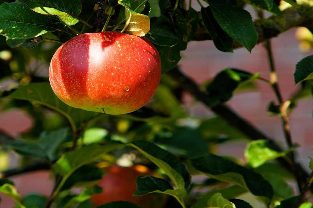 Εκδρομή στον Άγιο Ιωάννη του Αγρού