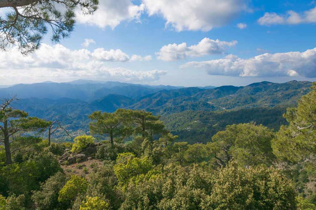 Hiking Artemis Trail