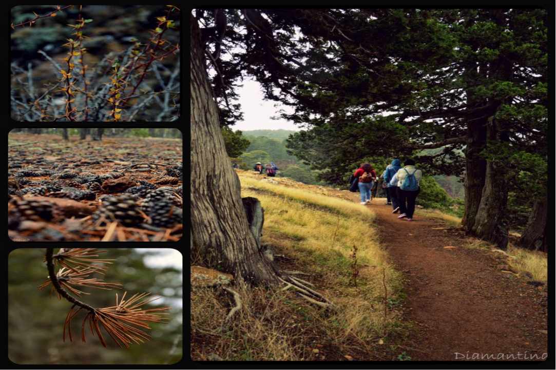 Hiking Artemis Trail