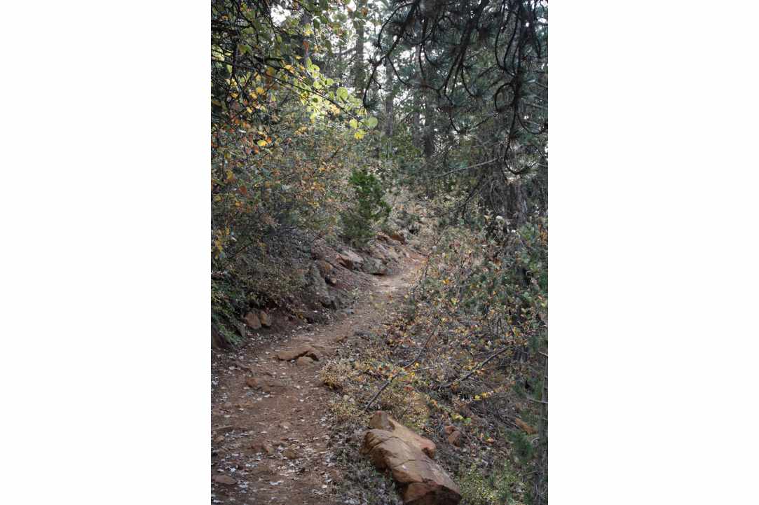 Artemis Trail, Troodos