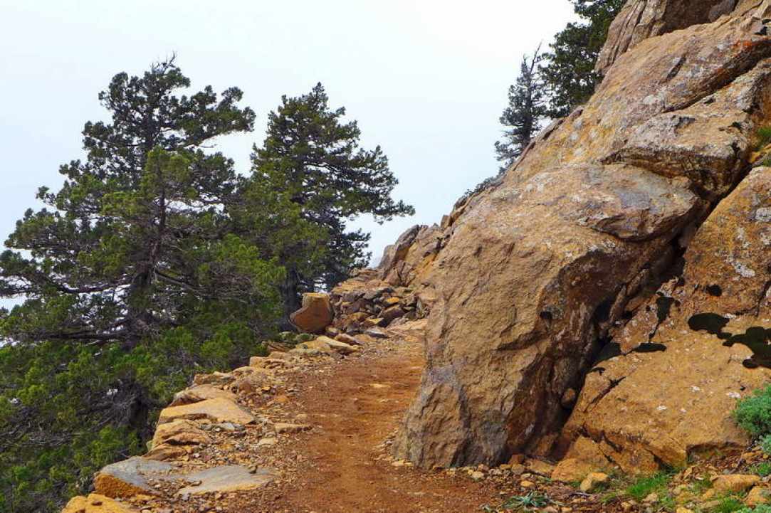 Hiking Artemis Trail