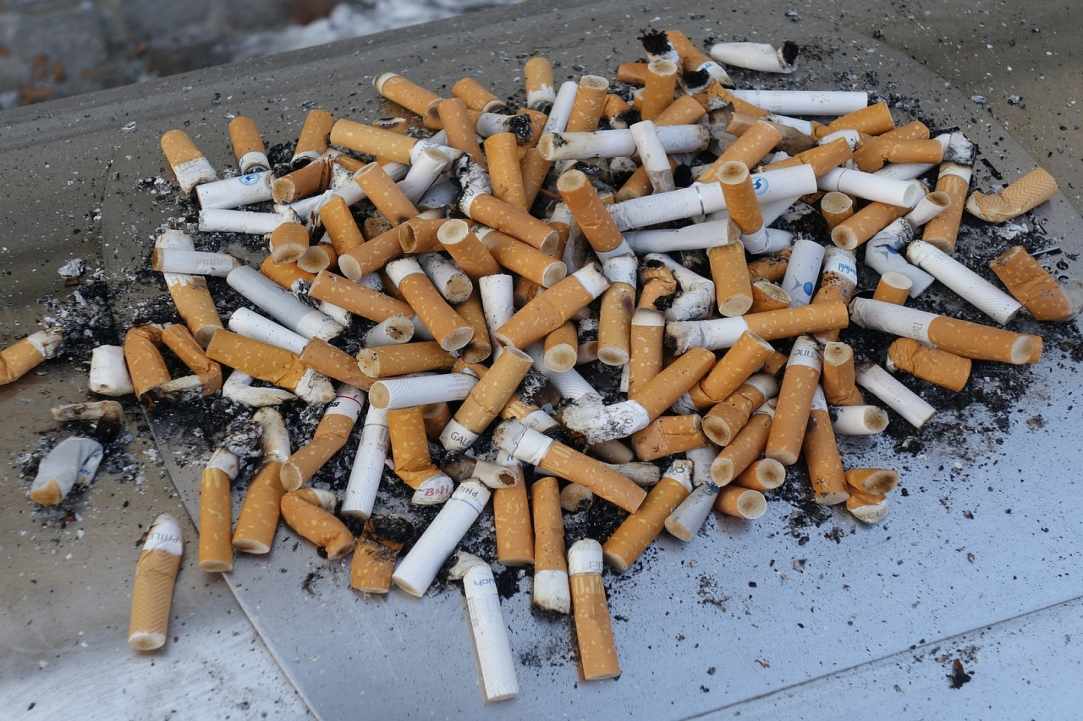 Ο έρωτας και οι τρόφες του