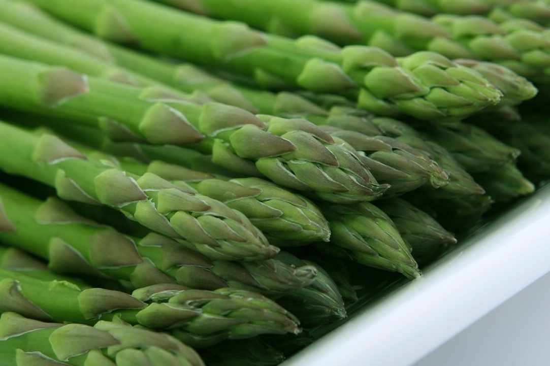 Cypriot Asparagus (Agrelia)