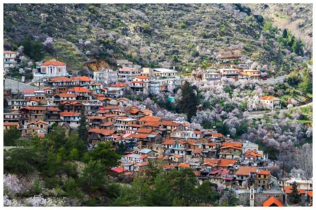 Στις 11 Αυγούστου πάμε εκδρομή ...