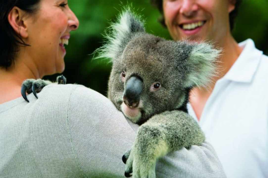 Fundraiser for Australia's Zoo Wildlife Warriors gallery image 2