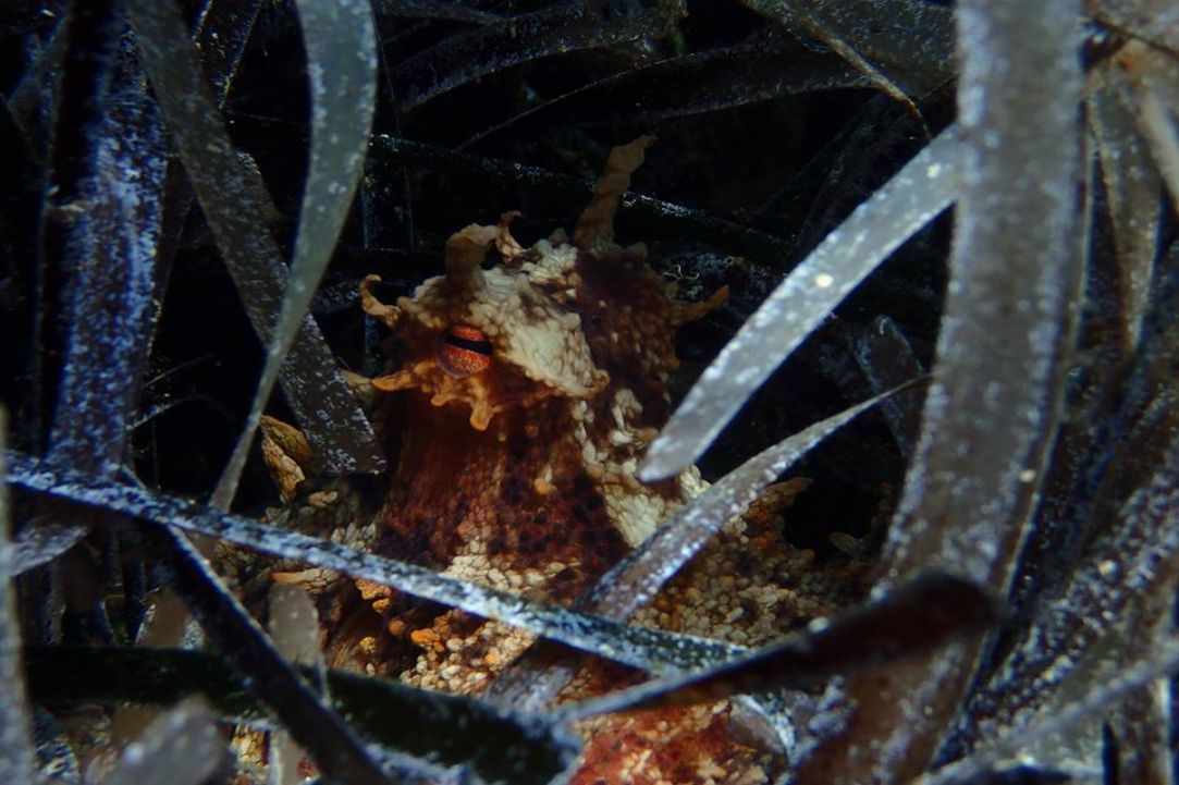 November dive in Cyprus