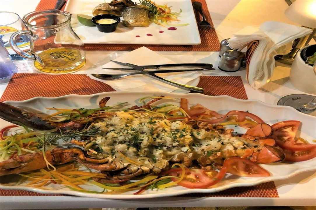 Interview with the owner of Bacchus Bistro Café Restaurant in Pafos