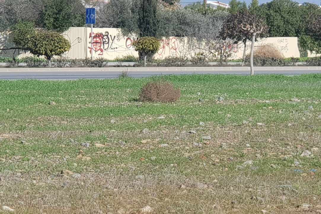 Βανδαλισμοί σε σπίτια και ανάρμοστη συμπεριφορά στην Λευκωσία! gallery image 4