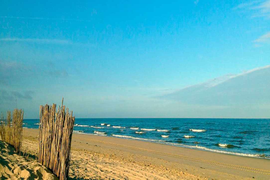 Our Beaches...Our Treasures