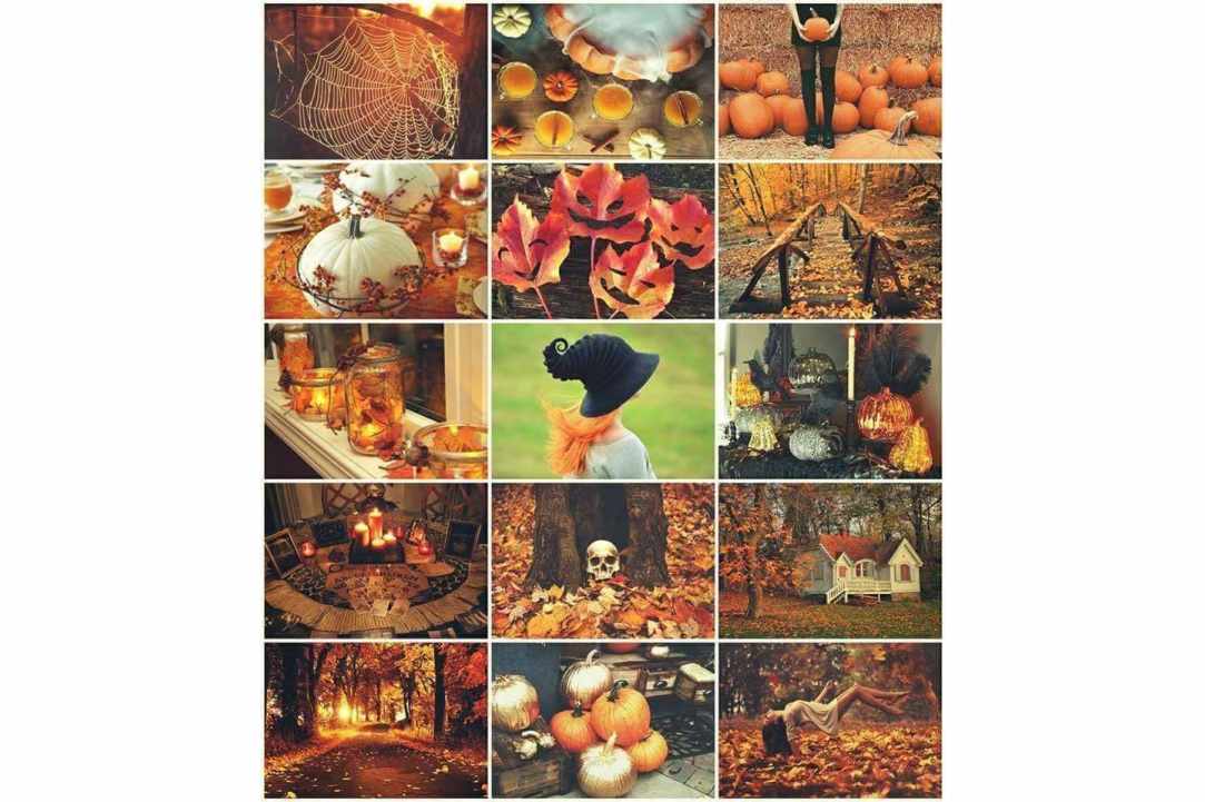 Halloween Party gallery image 2