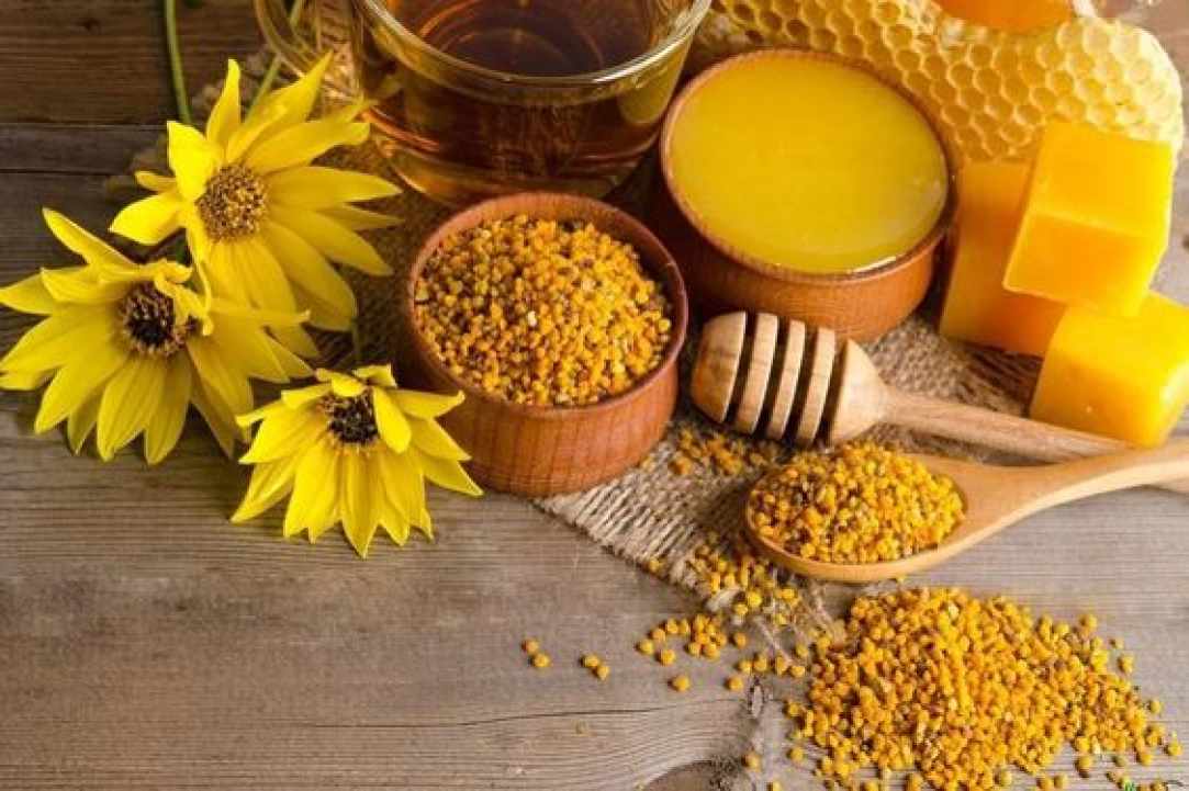 The bee's "bread" and its benefits