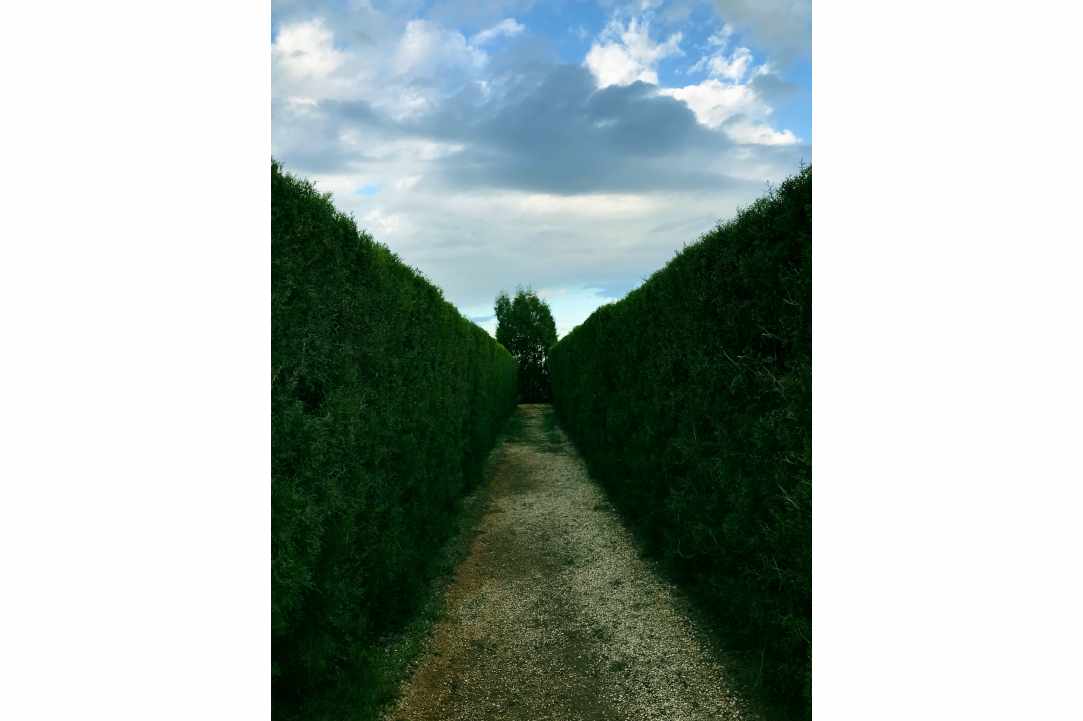 A Fairytale found in Cyprus