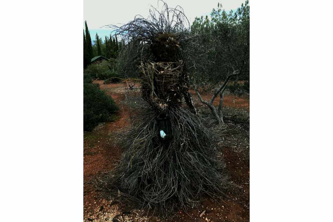 A Fairytale found in Cyprus