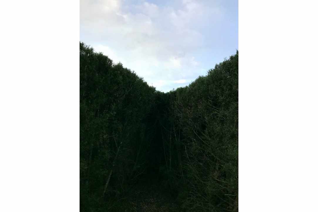A Fairytale found in Cyprus
