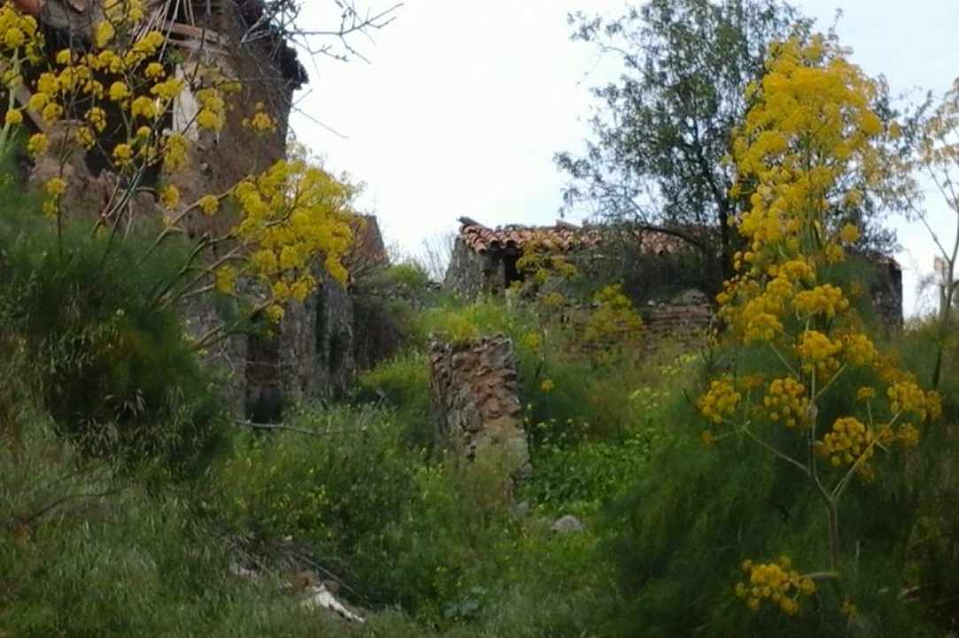Το χωριό Βίκλα