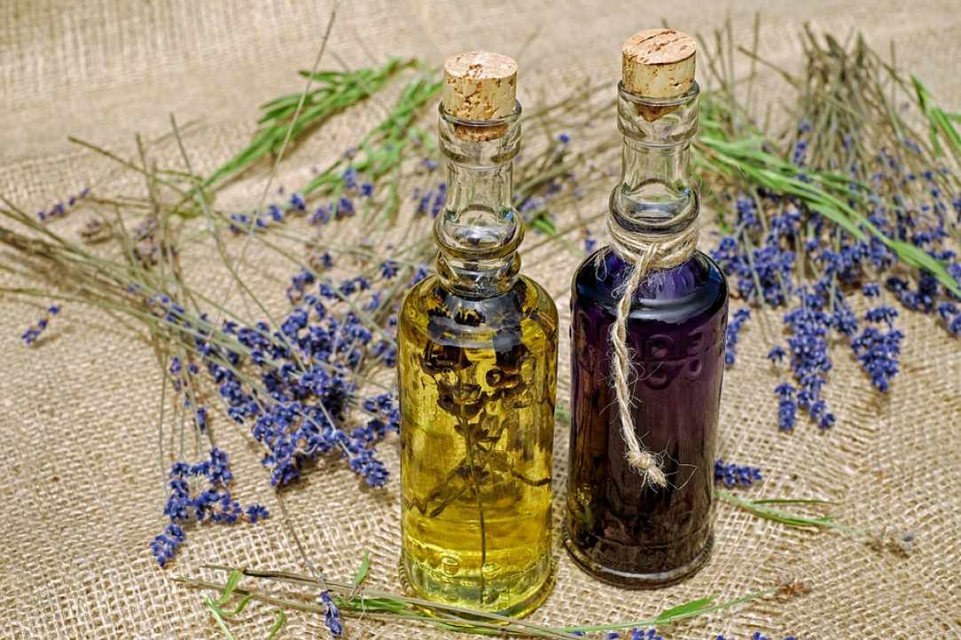 Βοτανικό Πάρκο και Λαβύρινθος Cyherbia
