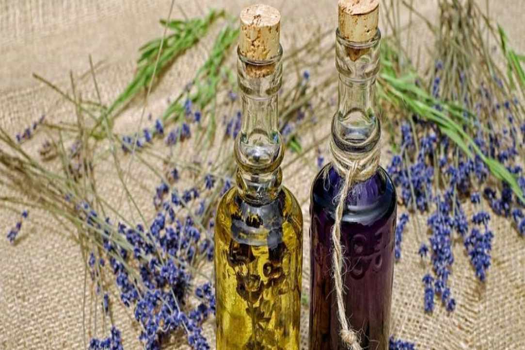 «Φεστιβάλ Λεβάντας» 2018, στο Μοναδικό Βοτανικό πάρκο Cyherbia στο Αυγόρου gallery image 5