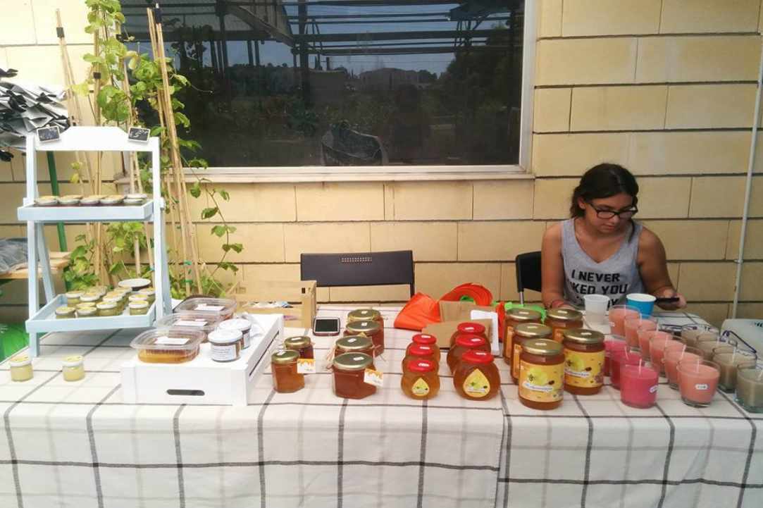 Bio and Traditional Festival  gallery image 4