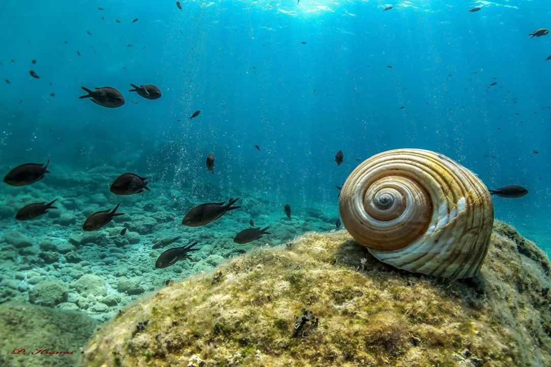 November dive in Cyprus