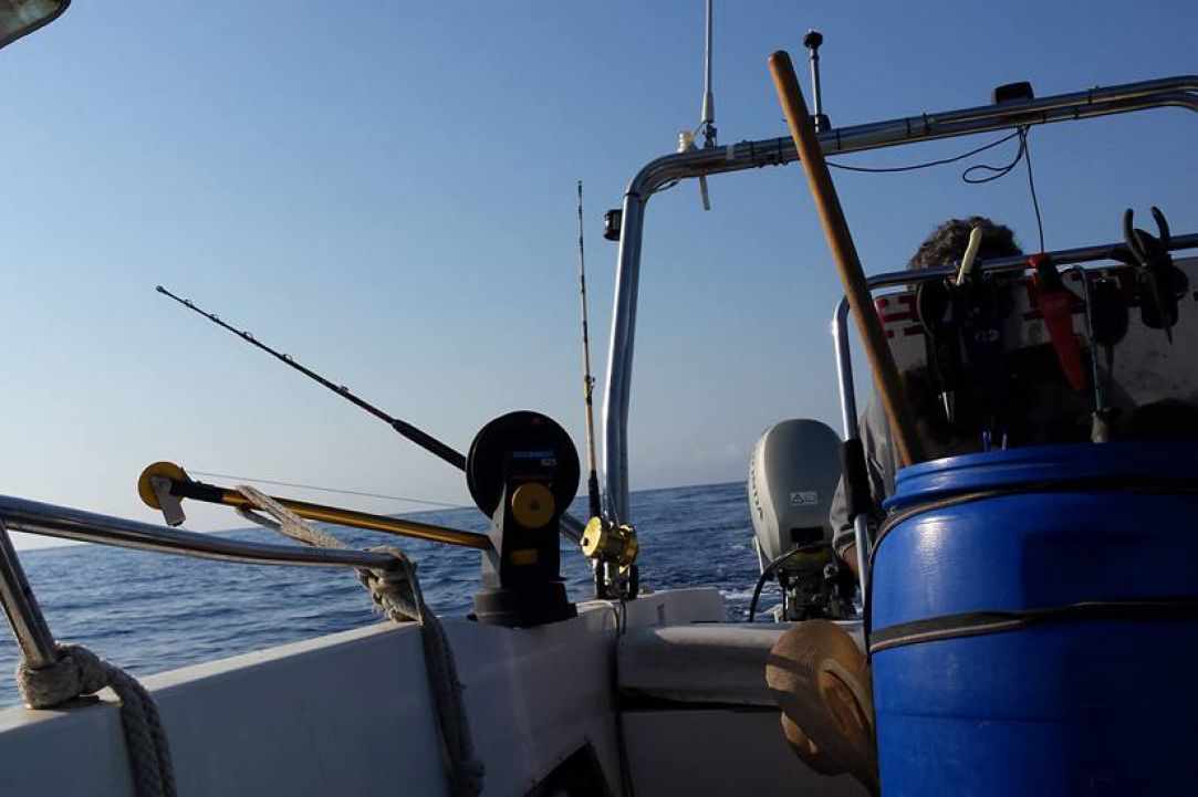 Angling for Alalunga - Albacore Tuna in Cyprus