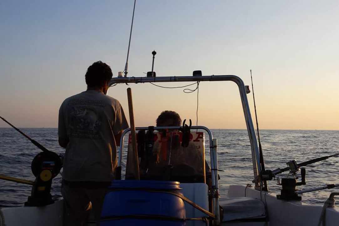 Angling for Alalunga - Albacore Tuna in Cyprus