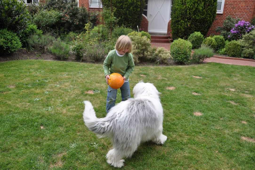 The importance of play in children’s health and how play therapy helps children overcome difficulties 