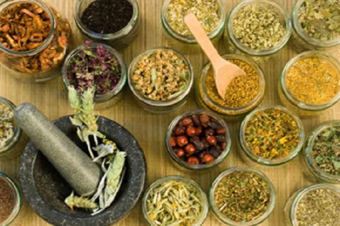 Herbs and Spices of Cyprus - more than 600 different types exist in Cyprus gallery image 1